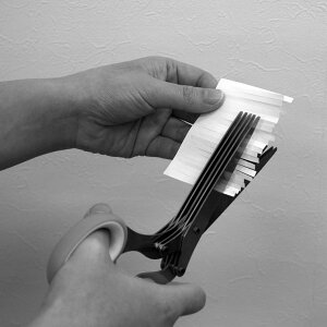 Vb_[͂݁@꓁ʒf@XeX5n@@SV-5752