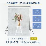 ピノスタジオ 撮影 背景 シート Pro版 選べる柄11種 【LLサイズ 125×200cm】 シワ抑制素材 簡単セット …