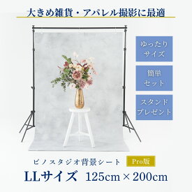 ピノスタジオ 撮影 背景 シート Pro版 選べる柄11種 【LLサイズ 125×200cm】 シワ抑制素材 簡単セット 収納コンパクト リアルな柄 国内正規品 撮影用 背景布 写真撮影 商品撮影 インスタ 専用取り付け スタンド 別売