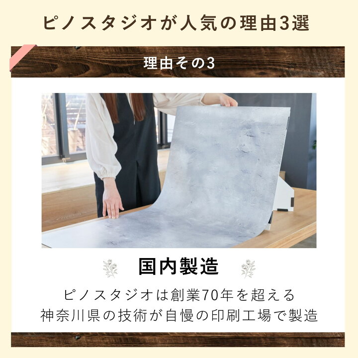 楽天市場】ピノスタジオ 撮影 背景 シート 初心者入門セット Pro版 