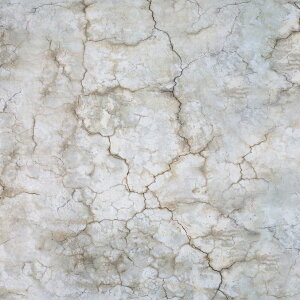 smX^WI Be wi V[g Pro Iׂ长4 uV[gy125×150cmzj[{[tHg V}f ȒPZbg [RpNg Aȕ Ki Bep wiz ʐ^Be 