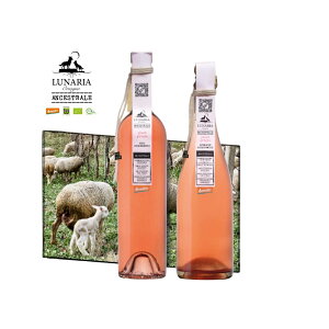 y2{ZbgzyCz i[A AZXg smO[W@Zbg _h~ܖY CZbg C^AC@@Xp[NOC@C iA@i`