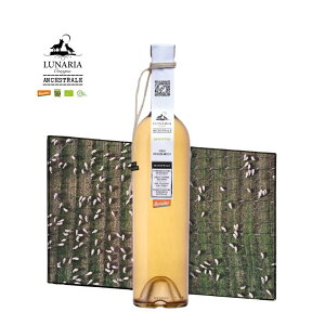 yCz iA yR[m@AZXg@rIfBi~bN@i`@C@JeB[i I\[j C^AC@@i[A@i`C rIfBi~ 