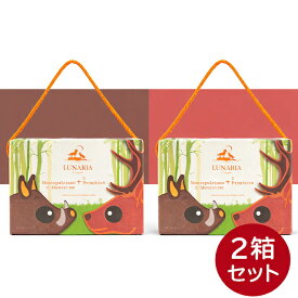 【ぴのシャル限定品】【2箱セット】 ルナーリア ドッピオ モンテプルチアーノ プリミテーヴォ BIB 4000ml (2L＋2L) 箱ワイン 赤ワイン ワイン 箱 パーティー ギフト 父の日 母の日 ボックスワイン BOXワイン 飲み比べ セット Lunaria ルナリア