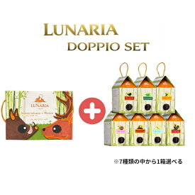 【 ルナーリア ドッピオ と 定番ルナーリア 選べるセット 】 ルナーリア ドッピオ モンテプルチアーノ プリミテーヴォ BIB 4000ml (2L＋2L) ＋ 3000ml 箱ワイン 赤ワイン ワイン 箱 パーティー ギフト 父の日 母の日 ボックスワイン 飲み比べ セット Lunaria ルナリア