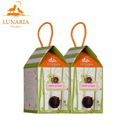 2箱セット ルナーリア ピノグリージョ BIB BOXワイン 3000ml イタリアワイン ビオディナミ ヴィーガン オ…