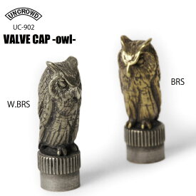 ☆送料無料☆UNCROWD(アンクラウド) UC-902 VALVE CAP -owl-