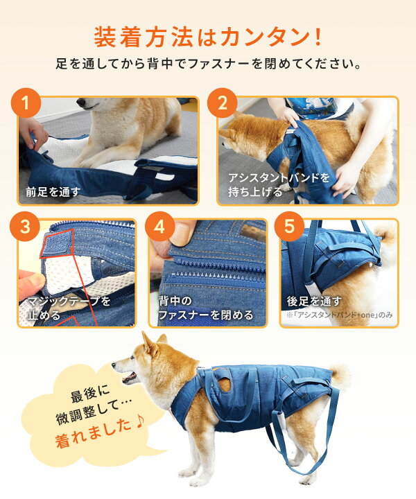 楽天市場】【5/23(金)20時〜P10倍】【シリーズ累計5万着突破】全身 犬 