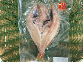 楽天市場 カサゴ その他水産物 魚介類 水産加工品 食品の通販