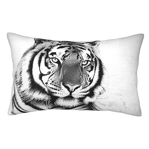 YUMEBLTD ���J�o�[ ������� �ȍ� �􂦂� �h�_�j �z�� �R�� ���ɂ̔��G�� �h�L ���炩 �q���� �l�G���p�i��j (�� �^�C�K�[, 50x75cm)