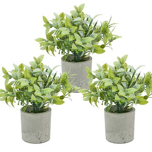 Bacucine tFCNO[ ϗtA tFCN A 3Zbg ~j lHϗtA ԃO[ CeA fake plant lHO[ lHA sv  v[g (1, `mL)