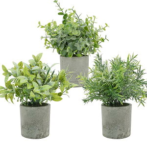 Bacucine tFCNO[ ϗtA tFCN A 3Zbg ~j lHϗtA ԃO[ CeA fake plant lHO[ lHA sv  v[g (1, 3_~bNX)