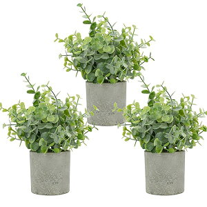 Bacucine tFCNO[ ϗtA tFCN A 3Zbg ~j lHϗtA ԃO[ CeA fake plant lHO[ lHA sv  v[g (1, [J)