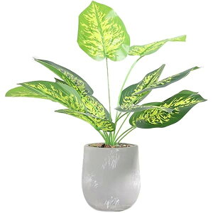 lHϗtA XeA15cm×s15cm×42cmAtFCNO[AG}dlA픫tAȒPbAsv (Ύ)