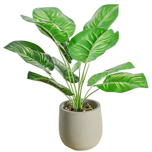 人工観葉植物 モンステラ、幅15cm×奥行15cm×高さ38cm、フェイクグリーン、光触媒仕様、陶器鉢付き、簡単世話、水やり不要 (カラテア)