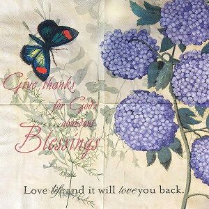 Zelten EfBi[EeB[p[eB[pJ[y[p[ivL 20 Vr[VbNfUC V[p[eB[p, AWTC