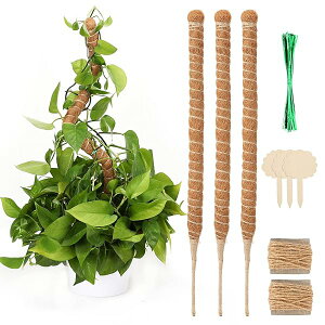 JANLOFO x | 3{Zbg |x 60cm Xe t[X^h wSx K[fjOx RRibcx Ԏx x {ێ _Ɖ|p