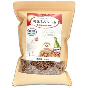 XibN[ ~[  I ~[ nX^[ a nlY~ t[h Kt[h ~[ hC~[ P  Ip Ϗ܋ v~A  e(500O