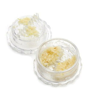 ]jjNcCX^[ jjNvXjjN낵 K[bN K[bNNbV[ jjNԂ IjӋ@ 蓮jjNNbV[vXc[ƒpLb`pi (A)