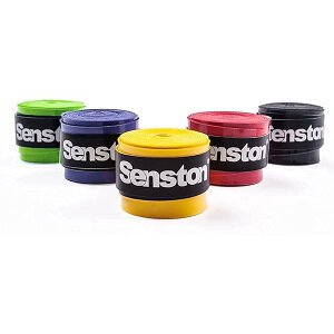 Senston ejXoh~gObve[v~ E^ z^CvObv 5{