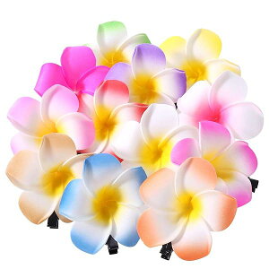 Frcolor  wAs wANbv  vA wAANZT[ wANbv nC  wbhhX 6cm 12F 24Zbg