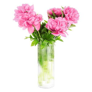 Annhua ԕr KX 20cm a9cm ~ k t[x[X } ֑}  KXx[X VvԊ ւ₷ CeA NA