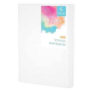 LoX LoX{[h F6 304x406mm 6/Zbg {[hLoX LoX G{[h ANG̋ G G  ʁEANp ` z