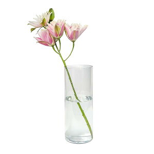 Ȃԕr DARENYI t[x[X 25cm  |J[{l[g Vv Ȃԕr   } CeA Mtg ֐QX܃ze G ma vX`bN(25cm×a