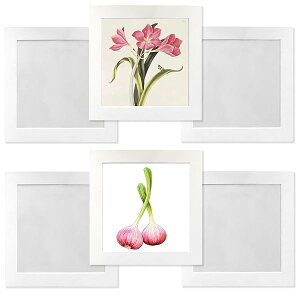 Haojiaho y[p[tHgt[ Wp tHgt[ 6Zbg 23*23cm ypCz  q̊G Wp z Ǌ| y A[gt[  G拳 G W y[p[tHg