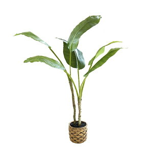 qinhomelHϗtA ^TCY G} Mъϗt l XetFCNO[ tFCN 64CM ȒPb炸 픫 ͎Os CeA  rO ItBX C