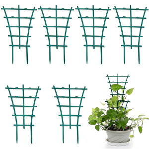 |x Ax y6ZbgzAT|[gt[ Ԃ Xe[N K[fjOpx ~jgX AT|[gt[ Ԏx |p