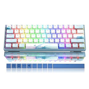 Womier WK61 ゲーミングキーボード メカニカルキーボード 61キー 赤軸 ホットスワップ可能 60%メカニカル式キーボード RGB 発光LEDバックライト付き 24個プリンキーキャップ付き ソフトウェア対