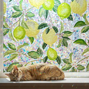 Qualsen ���K���X�ډB���t�B���� �� �ډB���V�[�g ���K���X�t�B���� ���œ\���Ă͂����� ���p�t�B���� �O���猩���Ȃ� UV�J�b�g ��U�h�~(�������� 44.3x200cm)