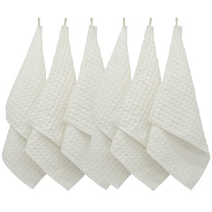 KYOSAMA ӂ H Lb`^I  zCg6 29*29cm btn @ z  04zCg6