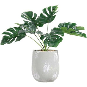 lHϗtA XeA15cm×s15cm×34cmAtFCNO[AG}dlA픫tAȒPbAsv (Xe)