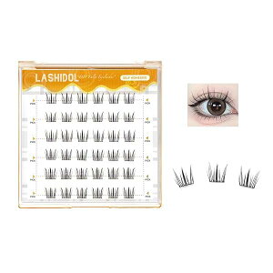 LASHIDOL ܂ ̂sv s^܂ p ܂ ̂t ܂  ڒܕtt܂ mȂ܂ ZOgꂽȐڒ܂ i`