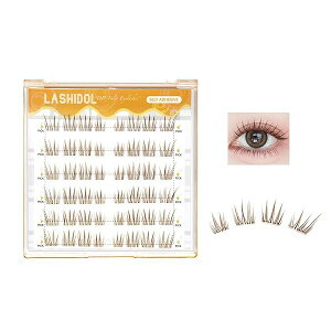 LASHIDOL ܂ ̂sv s^܂ p ܂ ̂t ܂  ڒܕtt܂ mȂ܂ ZOgꂽȐڒ܂ i`