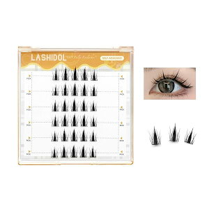 LASHIDOL ܂ ̂sv s^܂ p ܂ ̂t ܂  ڒܕtt܂ mȂ܂ ZOgꂽȐڒ܂ i`