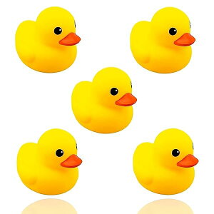 Aq ^ F VR  o q S q l  V 蕨 5ZbgAq C  Aq C  Ђ CɕׂAq A