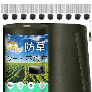 hV[g  ϋv 1×100M V[gh sDz V[gCe[v Gh~V[gŒs100{ƍ100t ƒ؉ _ Hp |p lHŉ O[