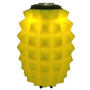 Naokin S[[ VF[h Lumina5000 X^h GOAL ZERO Jo[ Or Ao[ یJo[ ^X^h ^ANZT[ Goal Zero/Lumina5000 Ή (pCibvJo[)