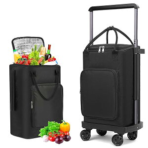 HeGeedy2025VozVbsOJ[g 4 J[g e 35L ۗۉ@\t 2WAY L^Co[360°]݃LX^[3iK߉\ ω׏d40kg tbNt ҌVbs