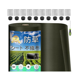 hV[g  ϋv 2×50M V[gh sDz V[gCe[v Gh~V[gŒs100{ƍ100t ƒ؉ _ Hp |p lHŉ O[