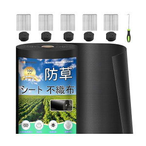 hV[g  ϋv 1×50M V[gh sDz V[gCe[v Gh~V[gŒs50{ƍ50t ƒ؉ _ Hp |p lHŉ ubN