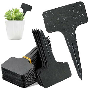 |x A x 60^T^ 100^^ K[fjO CeA Ďgp\ ~jŔ |^O ƒ؉ (T^ 60)