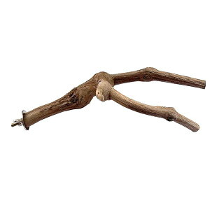 VRuhE̖ ~܂ ܂Ƃp[` CR IE p[`  IE } xݏꏊ oXK 