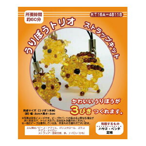 yڂgIz@XgbvLbg@̂@r[YLbg@x