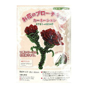 yԂ̃u[`LbgzJ[l[V@r[YLbgLbg@SҌ