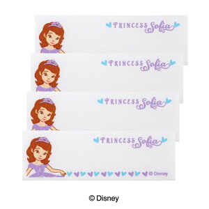 yDISNEYzfBYj[ȃvZX\tBA܂l[