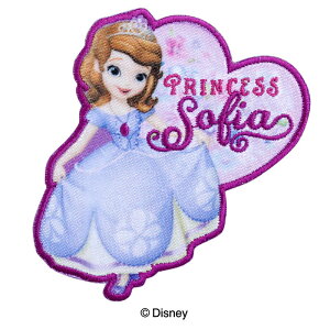 ݌ɌIyDISNEYzfBYj[vZXȃvZX \tBAby